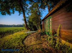 Doevelsteeg Ommen - Image 2