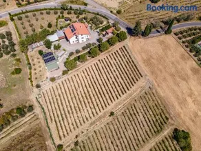 Sole Verde green house - Image 2