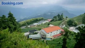 Alishan Mao Hsin - Image 4