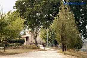 Casale dei 3 galli - Image 3