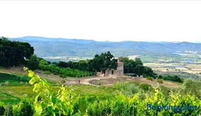 Wonderful New Villa in Maremma near Montalcino - Image 4