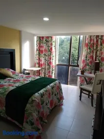 Charming sunny bedroom overlooking beautiful Amsterdam Avenue in best Condesa area - Image 1