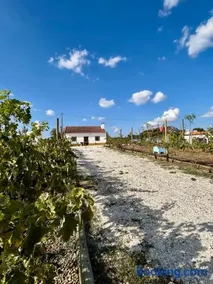 Monte da Rochela - Image 1