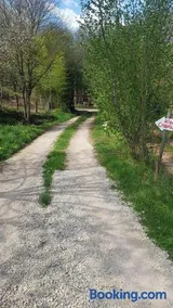 maison isolée dans les vignes et les bois - Image 3