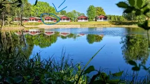 Rolig häst, Kaneeling Stugby AB - Image 4