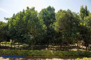 Aberdares View Residence Ol Kalou - Image 3
