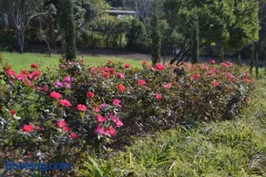 Sea & Forest Self Catering Estate - Durban Kingsburgh - Image 2