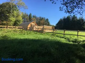 Brynllwyd Glamping - Image 2