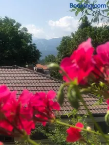 Guest house Legeto - Image 4