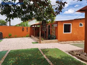 lobeira - Image 4