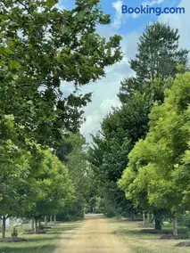 Highclere Farm - Yass Valley - Image 2