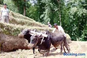 Kalimpong Village Retreat - Image 4