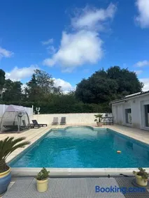 LES CLÉMATITES - Image 2