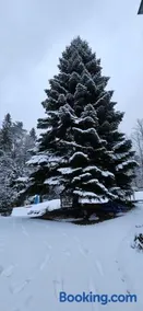Ferienwohnung am Wald - Image 3