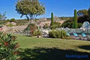 Cyprès du Paradis à Gordes - Image 5