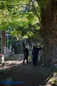 カフェを営む夫婦がもてなす暮らしを楽しむ宿 - Image 2