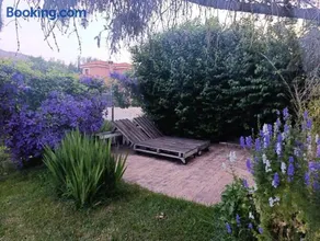 El Quinto Pino - Image 2