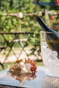 Le Vigne del Gallo - Image 3