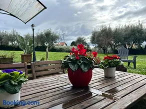 Casa Holly - Image 2