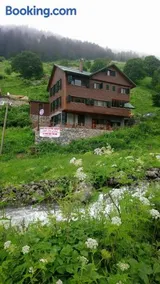 Yıldız Dagevi - Image 2