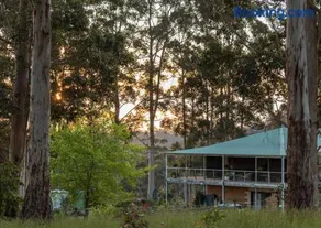 Blue Moon Forest Lodge - Image 1