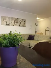 Šaulys1 - Image 1