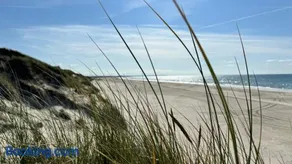 Veludstyret sommerhus i unik natur 350 m fra lækker badestrand - helårsbolig - Image 2