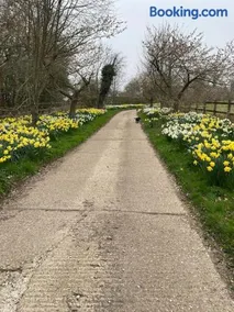 Hazelhurst - close to Bewl Water, Ticehurst - Image 4