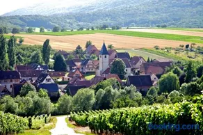 Elsasslogie im Winzerdorf - Image 1