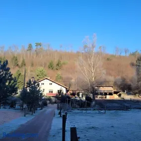 Gîte de la vallée, En Pleine Forêt - Image 5