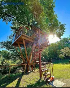 Casa sull'albero Bocchineri - Image 3