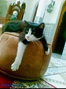 Riad Mouna - Image 3