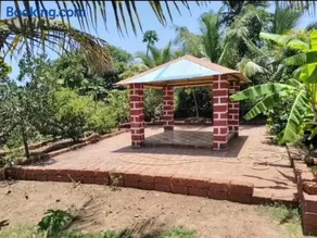 Chintamani Katalvan Eco-Agro Farm - Image 3