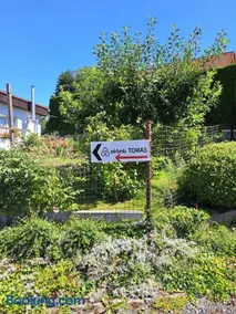Complete living with a garden - Image 4