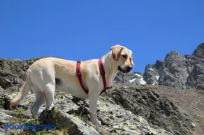 Niederhaeusererhof - Image 3