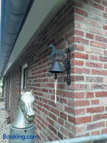 'T Wolthoes - Image 1