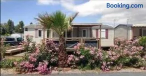 Mobil home Mon Oasis de rêves Les Palmiers - Image 1