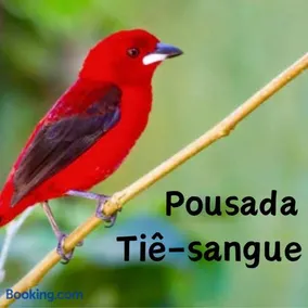 Pousada Tiê-Sangue - Image 2