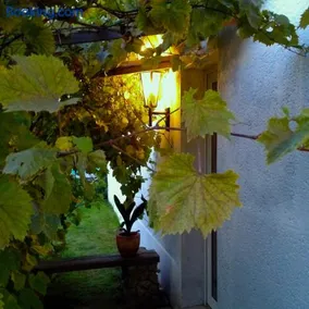 Haus am Pool - Image 1