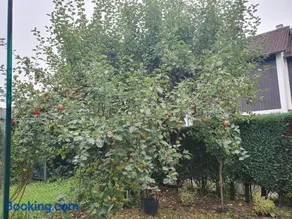 Ruhige 80 m2 Duplexwohnung mit Garten, 2 Bädern und Parkplatz nahe Innenstadt - Image 4