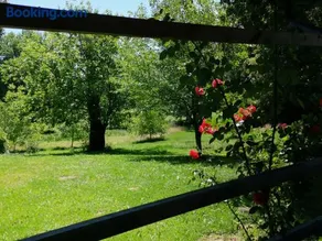 Vetrovi šumijo II - Image 3