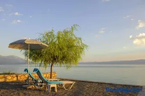 Lake House Sand - Image 3