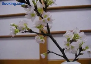 Wakaba Ryokan / Vacation STAY 29366 - Image 1