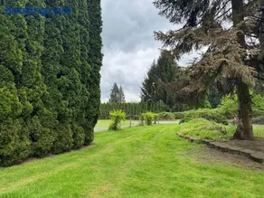 Evergreen Escape - Image 2
