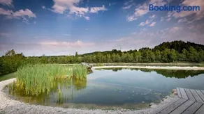 Fishery Steffan - Image 3