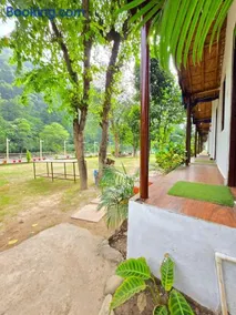Treepie River Resort By Live Inn Hotels, Rishikesh - Image 3