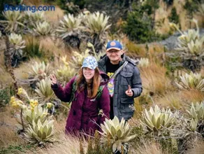 Biofilia Colombia - Image 4