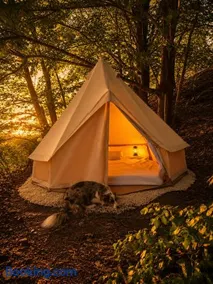 Tipi Nature a l'Ombre des Tilleuls à Vialas en Cévennes - Animaux ferme - Image 1
