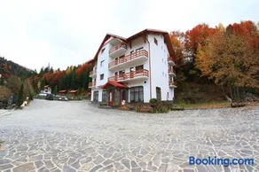 Hotel Paltinis - Image 1