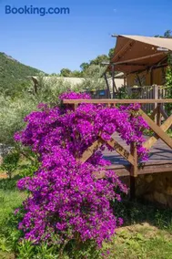 Sea Glamping - Image 1